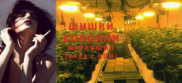 прущие грибы Алексин